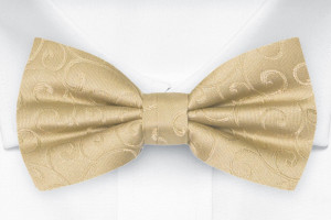 SNAZZY GOLD pre-tied bow tie