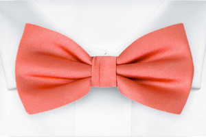 SOLID DARK CORAL boy's bow tie