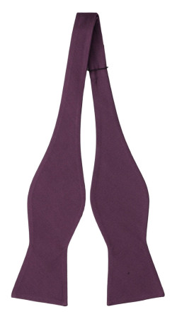 SOLID Eggplant self-tie bow tie