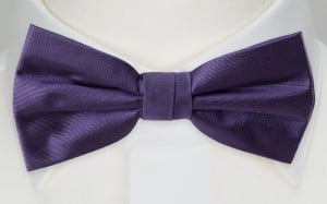 SOLID Purple pre-tied bow tie