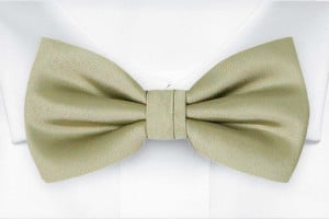 SOLID SAGE GREEN boy's bow tie