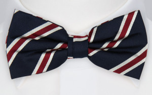 STORM pre-tied bow tie