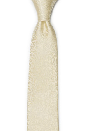 SWANKY Champagne boy's tie medium