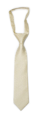 SWANKY Champagne boy's tie small pre-tied