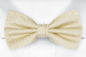 SWANKY CHAMPAGNE boy's bow tie