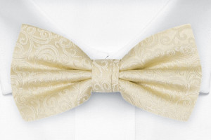 SWANKY CHAMPAGNE pre-tied bow tie