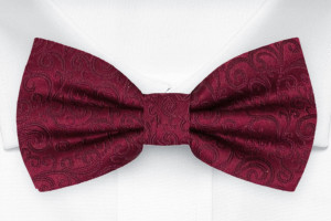 SWANKY DARK RED boy's bow tie