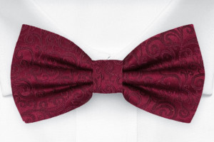 SWANKY DARK RED pre-tied bow tie