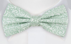 SWANKY JADE boy's bow tie