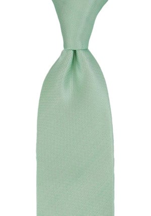 TARNA MINT classic tie