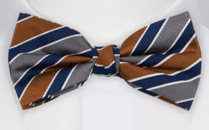 THELOOKER NAVY CINNAMON pre-tied bow tie