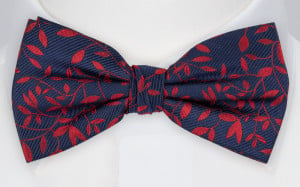 TJOHEJ RED boy's bow tie