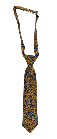 TUSSIEMUSSIE GOLD boy's tie small pre-tied