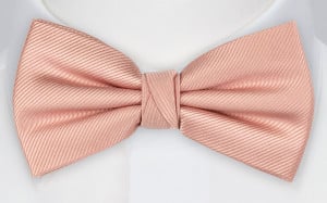 Twillie BLUSH PINK boy's bow tie