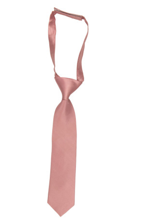 Twillie Mauve Pink boy's tie small pre-tied