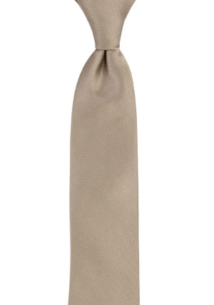 Twillie Taupe boy's tie medium