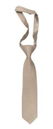Twillie Taupe boy's tie small pre-tied