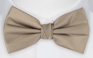 Twillie TAUPE boy's bow tie