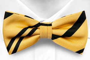 VERNON pre-tied bow tie