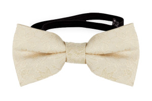 VIGSEL CHAMPAGNE baby bow tie