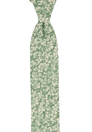 WEDDEBLIS GREEN skinny tie
