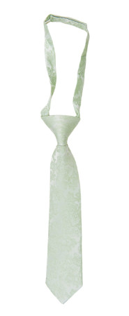 WEDDED PASTEL GREEN boy's tie small pre-tied