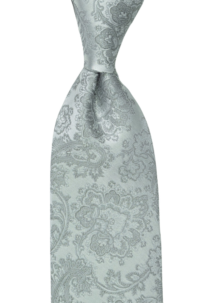 WEDDED SILVER tie