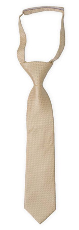 WEDLOCK Champagne boy's tie small pre-tied