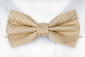 WEDLOCK CHAMPAGNE boy's bow tie