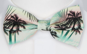 WILDABOUTYOU GREEN pre-tied bow tie